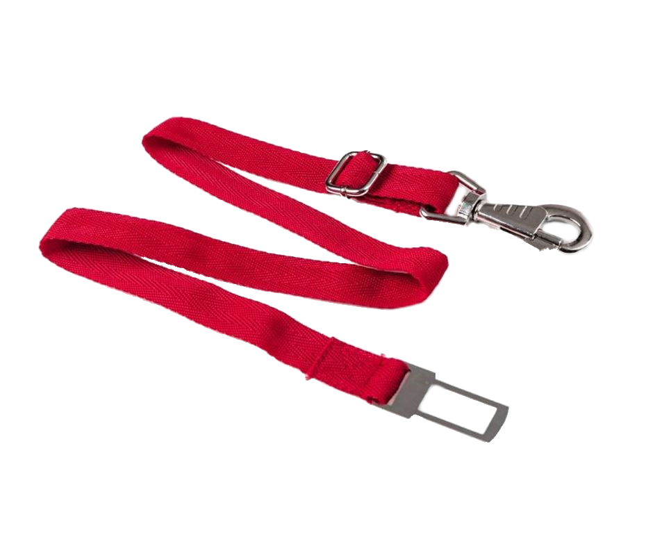 TrendBy Strepin Dog Belt in Red