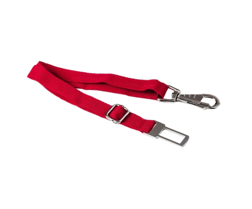 TrendBy Strepin Dog Belt in Red