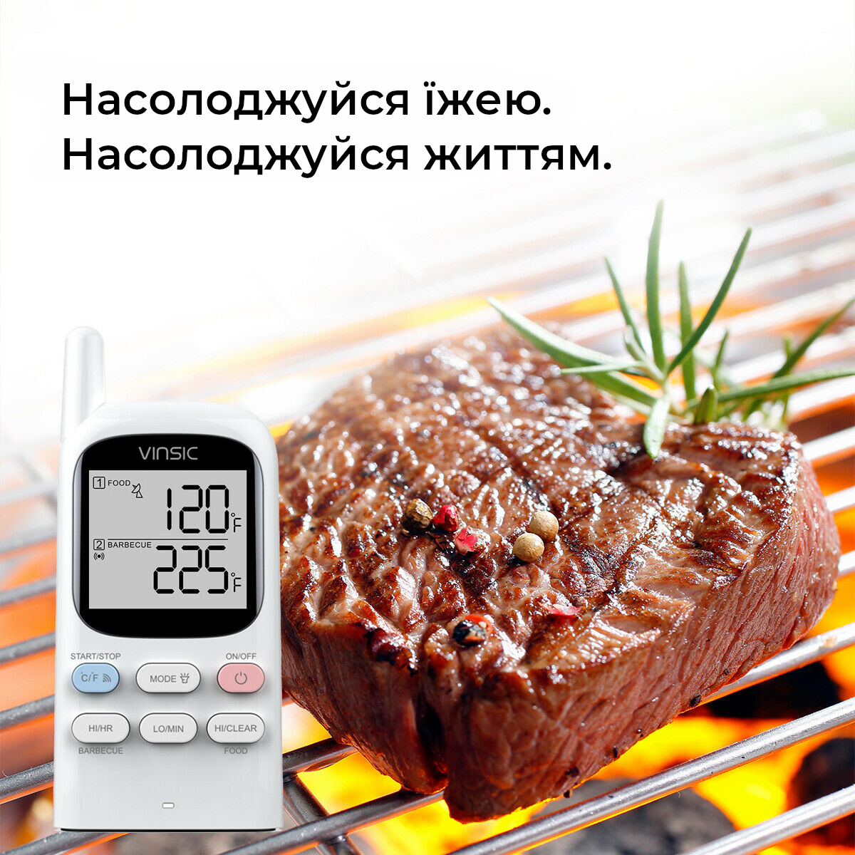 Бездротовий термометр для барбекю Vinsic VSAA003